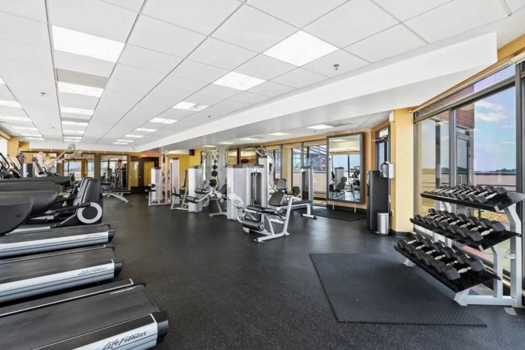 Incredible Apartment With Rooftop In Pentagon City アーリントン エクステリア 写真